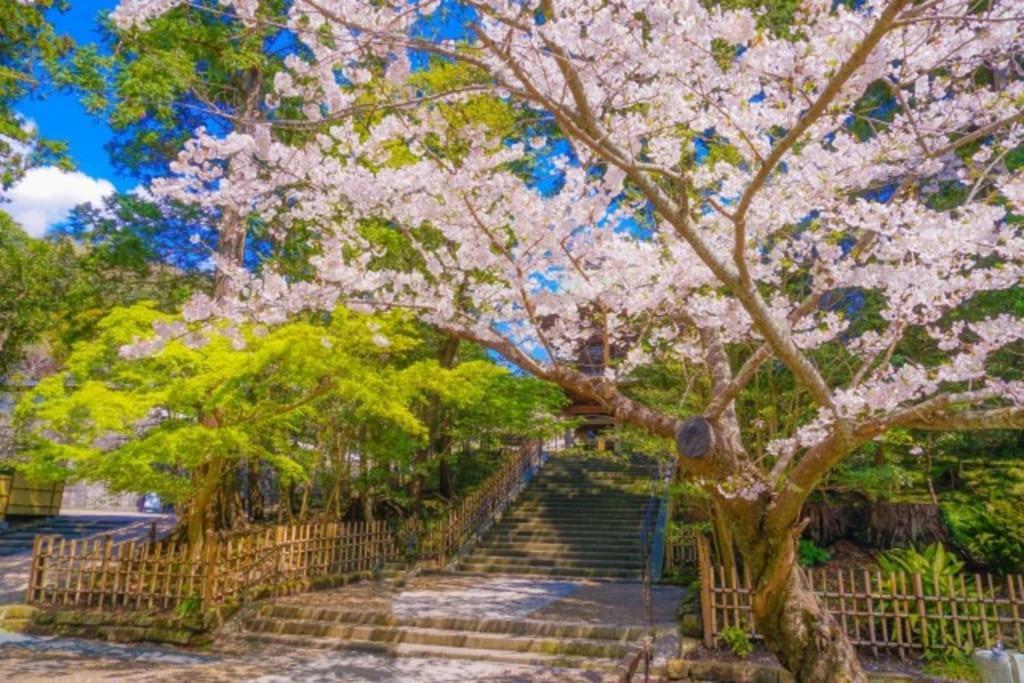 甘糟屋敷 Amakasu Yashiki Kamakura Villa Exterior foto