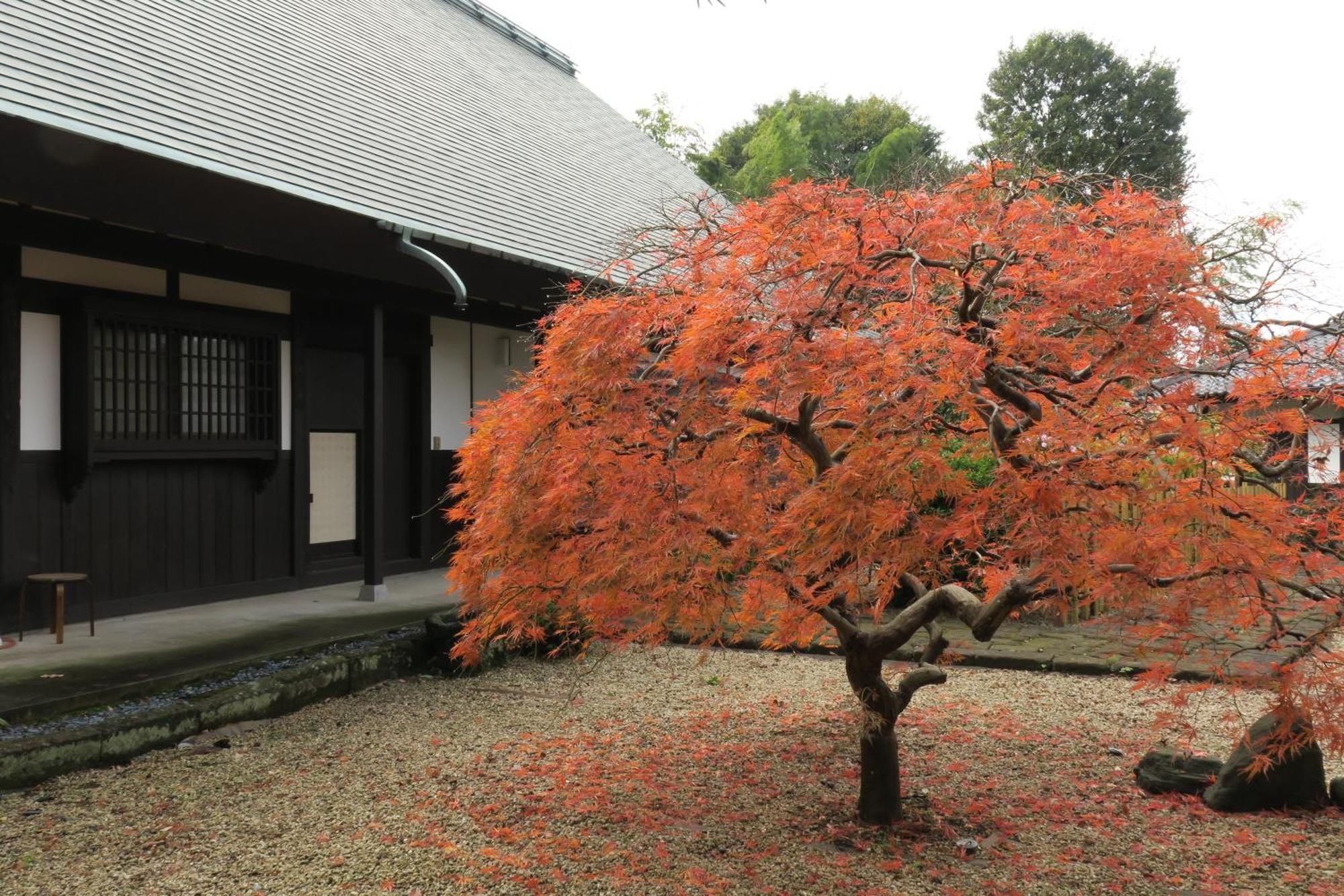 甘糟屋敷 Amakasu Yashiki Kamakura Villa Exterior foto